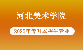 2025年河北美术学院专升本专业