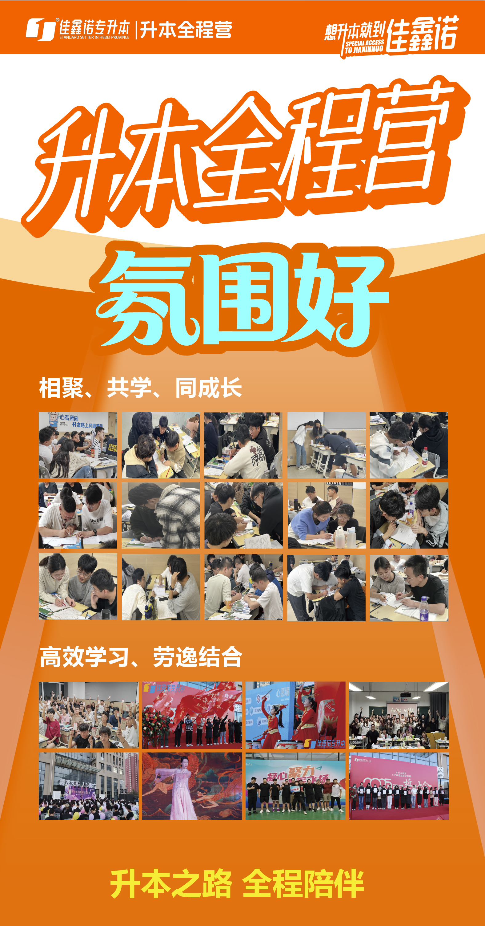 佳鑫诺专升本